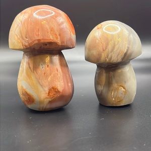Jasper Mushroom Crystal Set